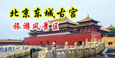 入小穴视频中国北京-东城古宫旅游风景区